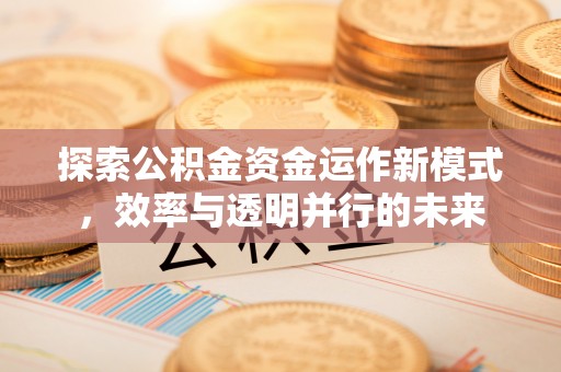斗六探索公积金资金运作新模式，效率与透明并行的未来
