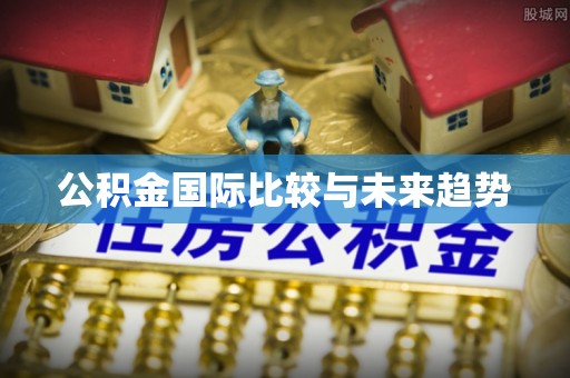 斗六公积金国际比较与未来趋势
