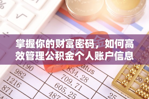 斗六掌握你的财富密码，如何高效管理公积金个人账户信息