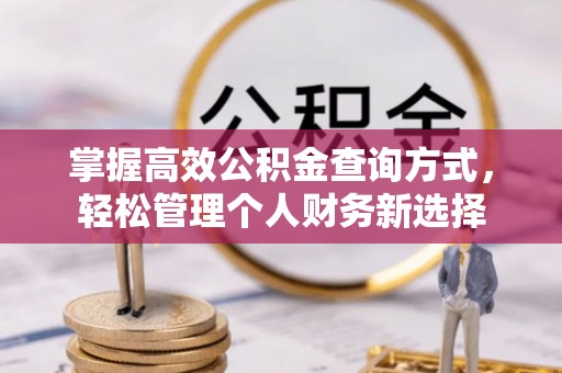 斗六掌握高效公积金查询方式，轻松管理个人财务新选择