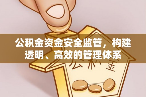 斗六公积金资金安全监管，构建透明、高效的管理体系