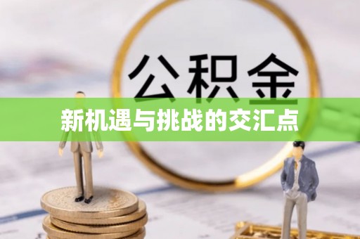 斗六新机遇与挑战的交汇点