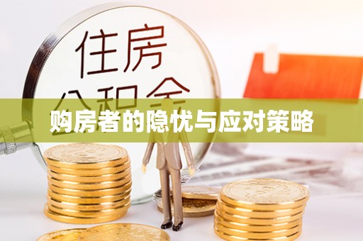 斗六购房者的隐忧与应对策略
