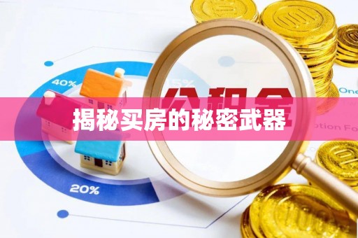 斗六揭秘买房的秘密武器