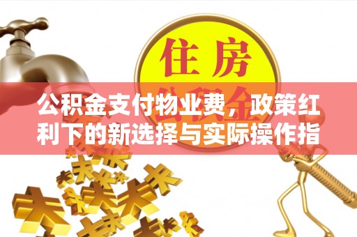 斗六公积金支付物业费，政策红利下的新选择与实际操作指南