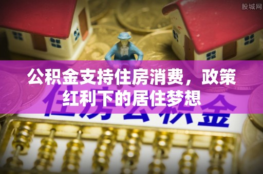 斗六公积金支持住房消费，政策红利下的居住梦想