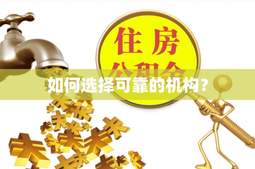 斗六如何选择可靠的机构？