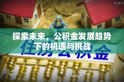 斗六探索未来，公积金发展趋势下的机遇与挑战