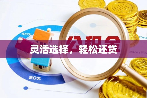 斗六灵活选择，轻松还贷