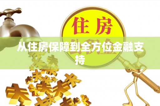 斗六从住房保障到全方位金融支持
